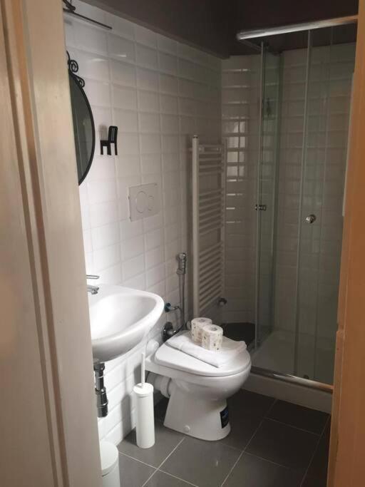 Living In Centro Storico Apartman Firenze Kültér fotó